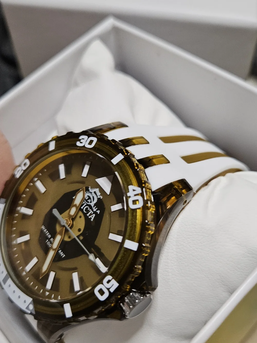 Invicta Subaqua Brown and White Transparent Dive-Style Watch